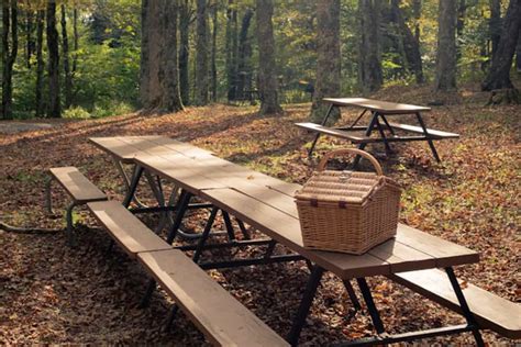 An Escape to Nature: Magic Mountain's Tranquil Picnic Area